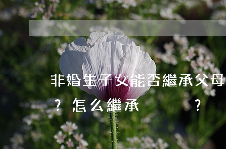 非婚生子女能否繼承父母遺產(chǎn)？怎么繼承？